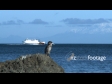 Ferry Boat Wellington 2 1780